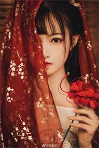 云本无心风起意爽文