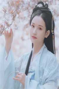 雁字回时情未休小说全文免费阅读