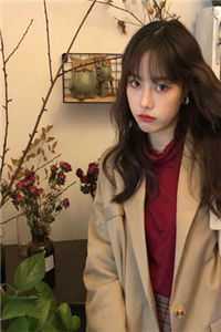 苏绾月江岩写的小说仙子为我留凡尘全文阅读