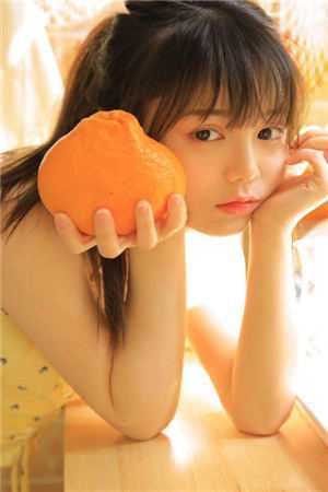 野蔷薇最完整版