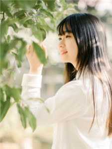 爱如微风，再无归期后续+结局