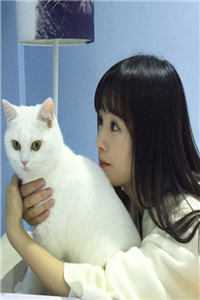 桃色仕途陈斌高婉君全章节小说
