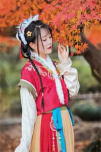 一春烟雨任平生连载