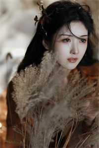 云雨无归期沈瀚音姜婉如前文+后续