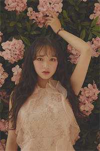昭昭如愿岁岁安小说结局