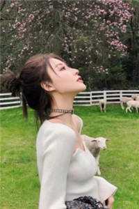 傅南琛全集