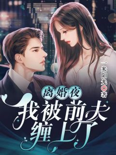 梁沐辰陈果果写的小说我给第三十八任老公过喜