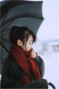 柳如烟左然的小说焰火如誓免费阅读