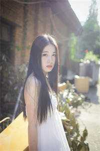 飞花轻如梦连载