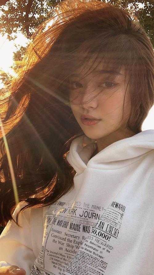 梨花开春带雨百度贴吧