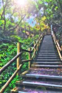 我死后，研究院公布了我的人体数据前文+后续