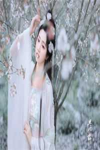 我成了气运女主后，被全员宠上天小说全文免费阅读