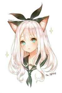 再无明月照君心书目