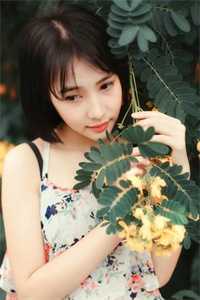 佛渡她，不渡我完结