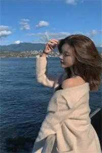 曲终人散两相忘顾时宴宋晚晴全局