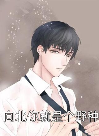 愿为昭昭丽嫔谢青云全局