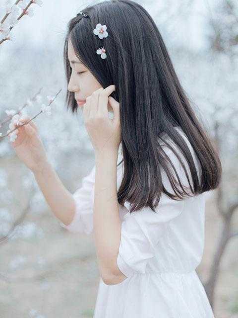 时光煮雨祭相思小说