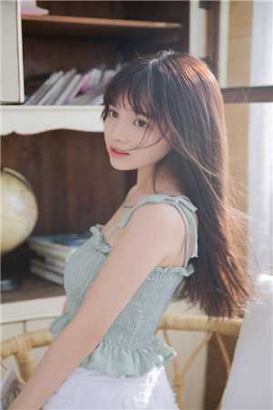 朱元璋叶青的小说大明第一贪官小说阅读