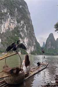 五一旅游，老公带上了情人张泽端上官偌全文