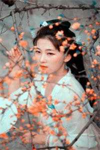 退婚太子爷后,我嫁给了扫把星傅深周南行结局+番外
