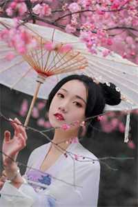 鱼死网破全文免费