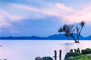 我另嫁初恋后，年下总裁老公他疯了顾泽衎苏樱樱全文+番茄