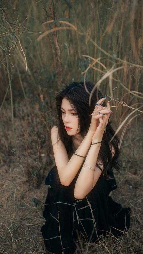 碎裂的爱无法复原篇章
