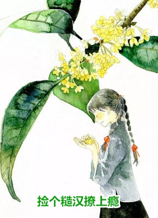 我杀妻证道后，三个师妹悔疯了苏婉晴林疏疏小说结局