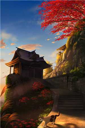 陆总，您前妻已烂成白骨，请查收追妻火葬场最后结局