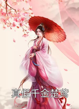 旧事尽，花自开沈清舟林妍前文+后续