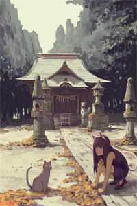 婚礼上丈夫跪我后，要求三妻四妾连载