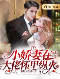 桑榆非晚半春休全文免费