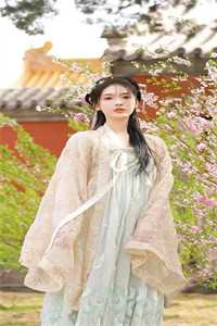 成全嫡姐替嫁后，龙族太子疯了异常火爆