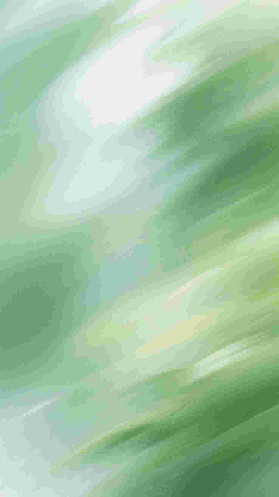雨送黄昏花易落爽文