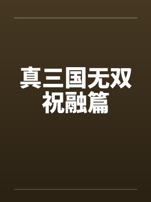 真三国无双祝融篇封面