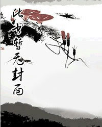 《天龙八部外传》之王语嫣封面